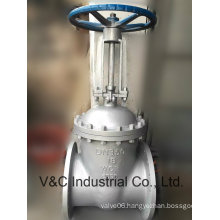 Carbon Steel Flange Flexible Wedge Gate Valve